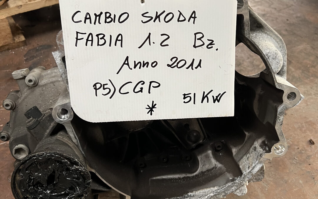 Cambio Skoda Fabia 1.2 Bz. Anno 2011 Codice Motore CGP 51Kw