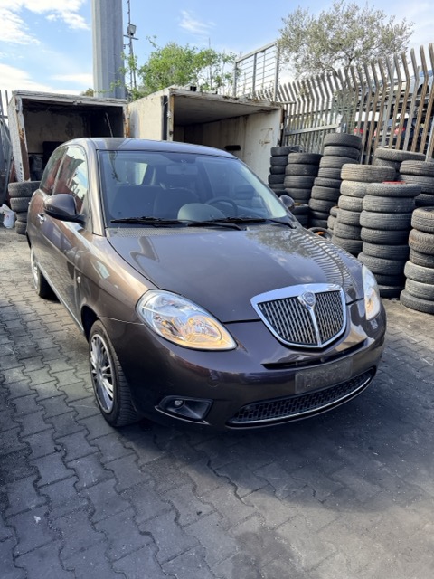 Ricambi Lancia Ypsilon 1.2 3P Anno 2010 Codice Motore 169A4000 51KW