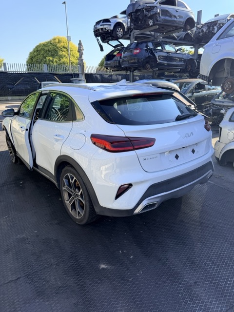 Ricambi Kia XCeed  1.5 T-GDI MHEV b-e anno 2022 Codice G4LK 117KW