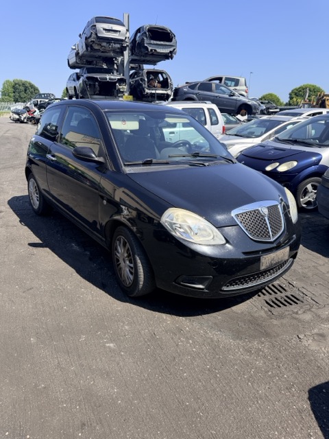 Ricambi Lancia Ypsilon 1.4 Argento 3P anno 2008 Codice Motoree 350A1000 57KW