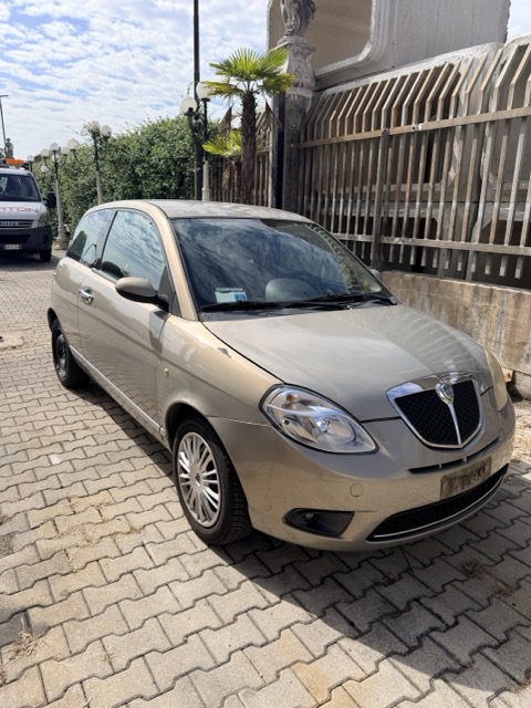 Ricambi Lancia Ypsilon 1.4 Argento 3P Anno 2008 Codice Motore 350A1000 57KW